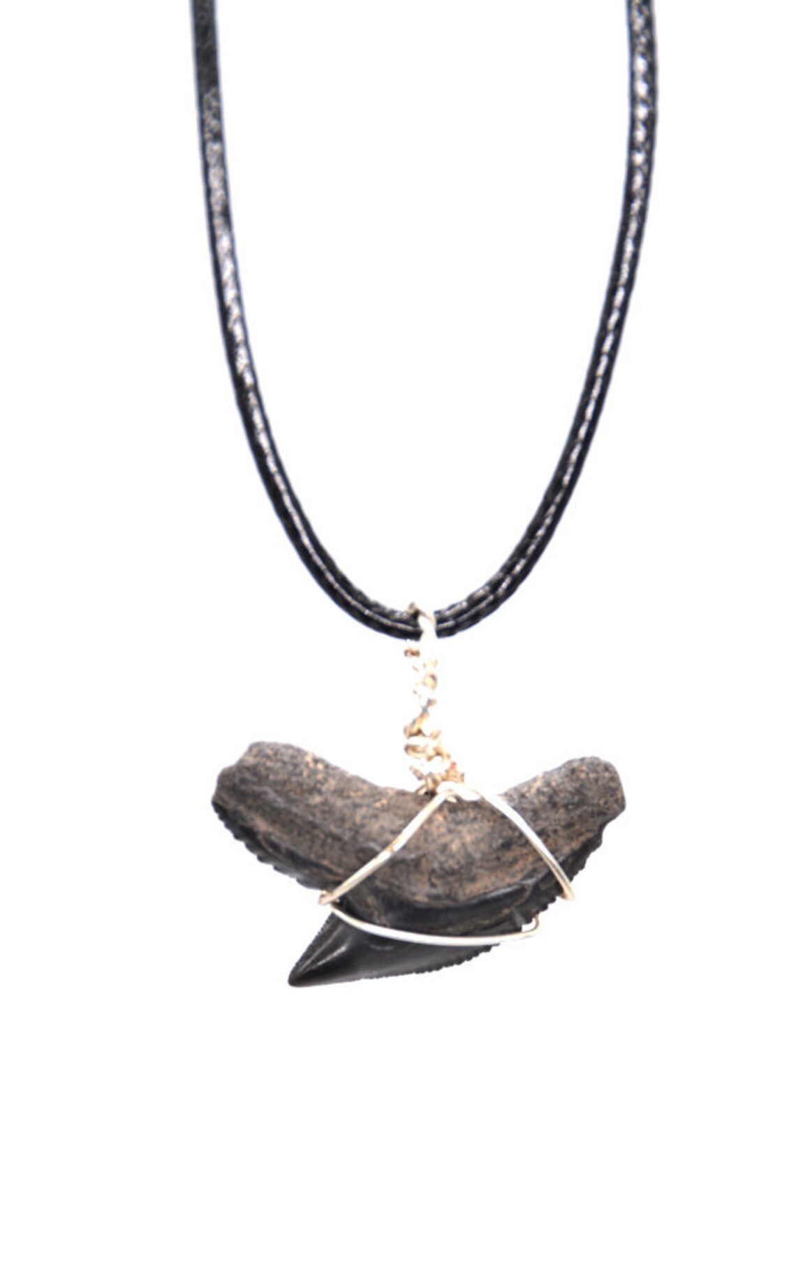 Fossilized Shark Tooth Necklace | Etsy