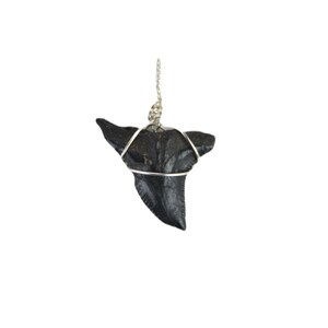 Snaggle Shark Tooth Pendant Necklace