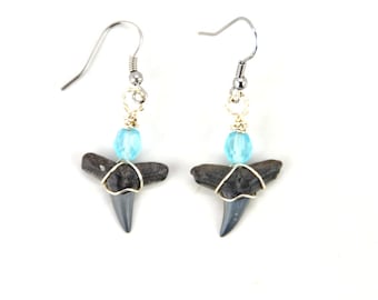 Lemon Shark Tooth Earrings