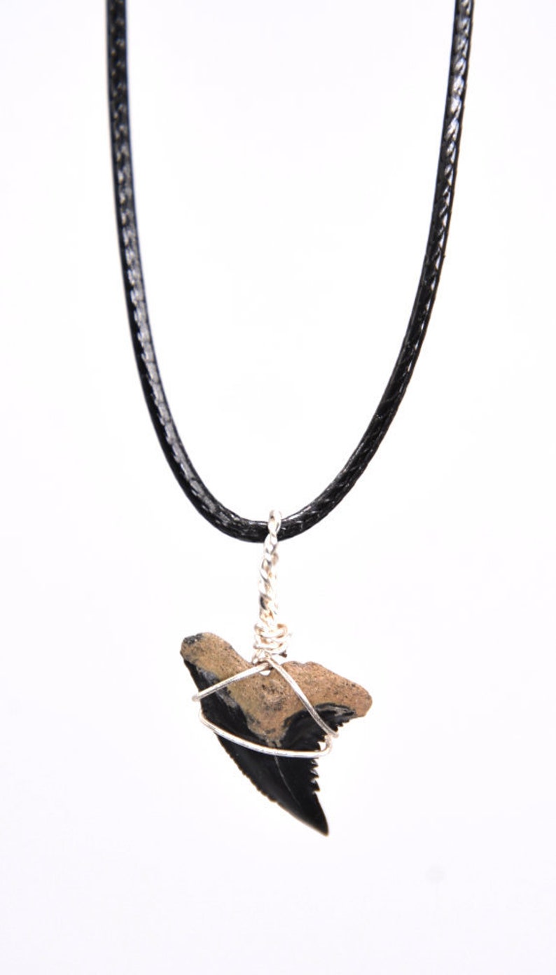 Fossilized Shark Tooth Necklace | Etsy