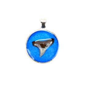 Lemon Shark Tooth Pendant Necklace