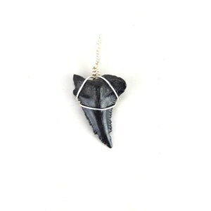 Snaggle Shark Tooth Pendant Necklace