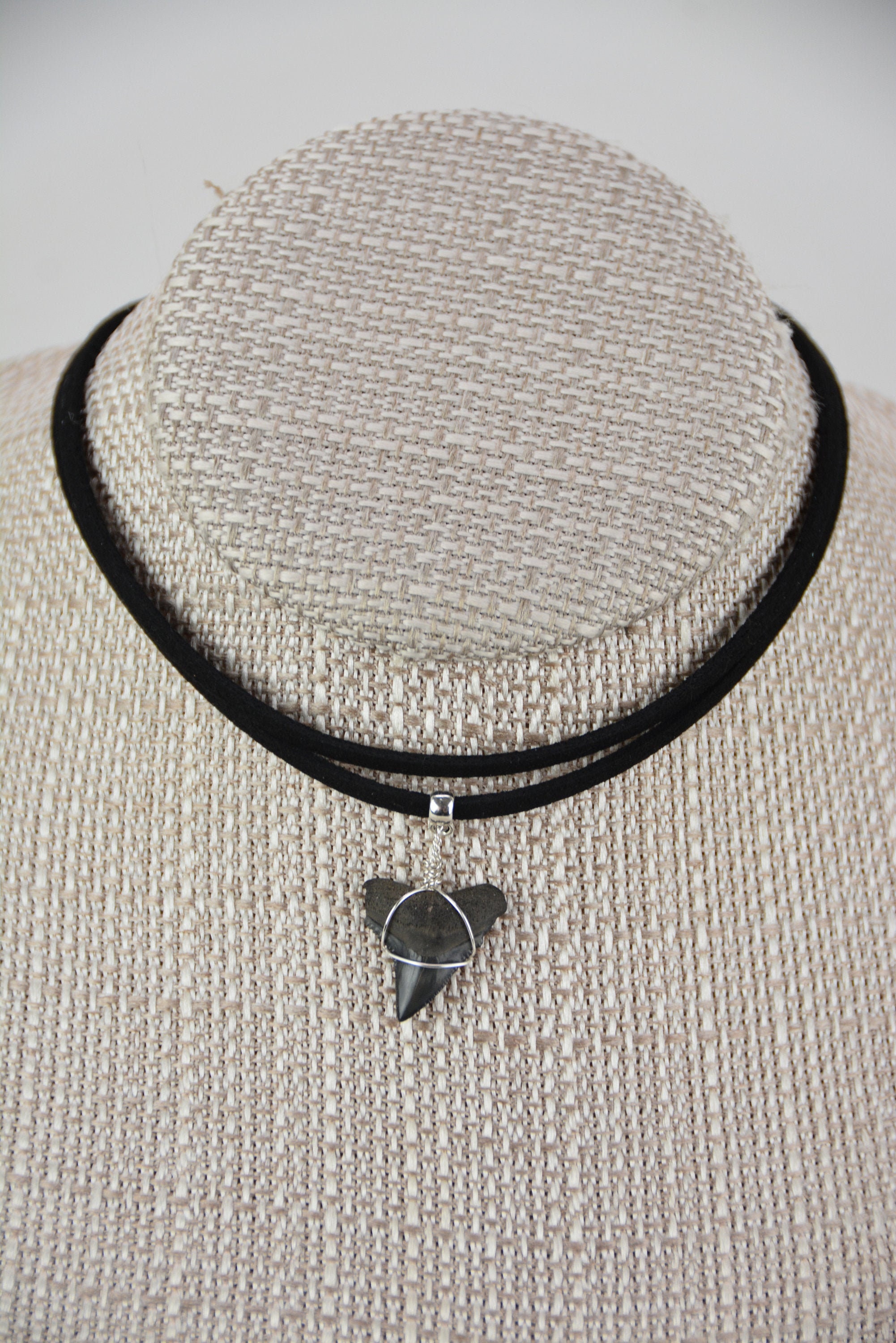 Bull Shark Tooth Vegan Black Suede Choker Necklace Australia