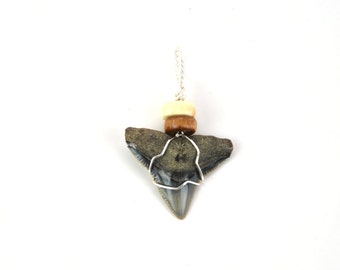 Bull Shark Tooth Pendant Necklace