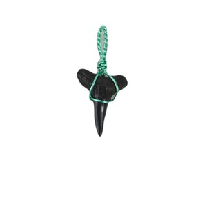 Lemon Shark Tooth Pendant Necklace