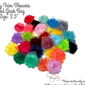 Grab Bag of Solid Colored Flower, 2.5" Sample Bag of Chiffon Roses, Mixed Bag of Craft Flowers, Mystery Small Mesh Rosettes for Headbands