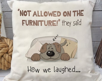 Cushion - "Not allowed on the furniture" they said....