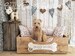 Handcrafted wooden dog bed, Driftwood Brown, MEDIUM-LARGE - 75cm x 54cm x 25cm  (29.5' x 20.5' x 10') 
