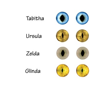 May include: Four sets of eyes, each with a different color: blue, gold, gray, and yellow. The names Tabitha, Ursula, Zelda, and Glinda are written above each set of eyes.
