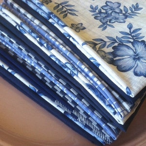 Lunchbox Napkins, Set of 10, Shades of BLUE, by CHOW with ME