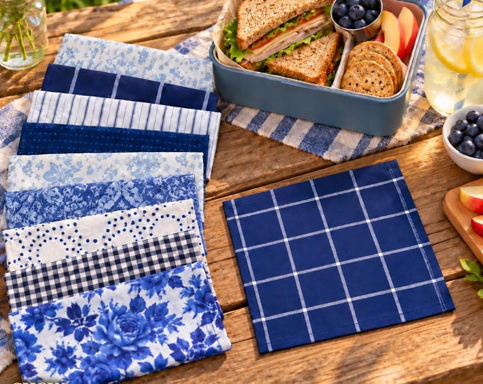 Blue Cotton Cloth Napkins | Reusable Lunch Box Set (10 Count)