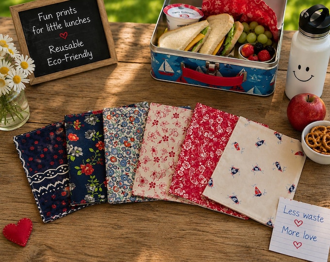 Red White Blue Reversible Cotton Napkins, Set of 6, Lunchbox Bites