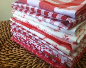 Lunchbox Napkins, Set of 10, Eco Friendly, Shades of RED, by CHOW with ME