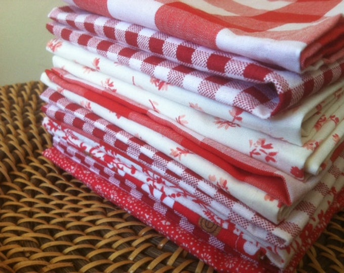 Lunchbox Napkins, Set of 10, Eco Friendly, Shades of RED, by CHOW with ME