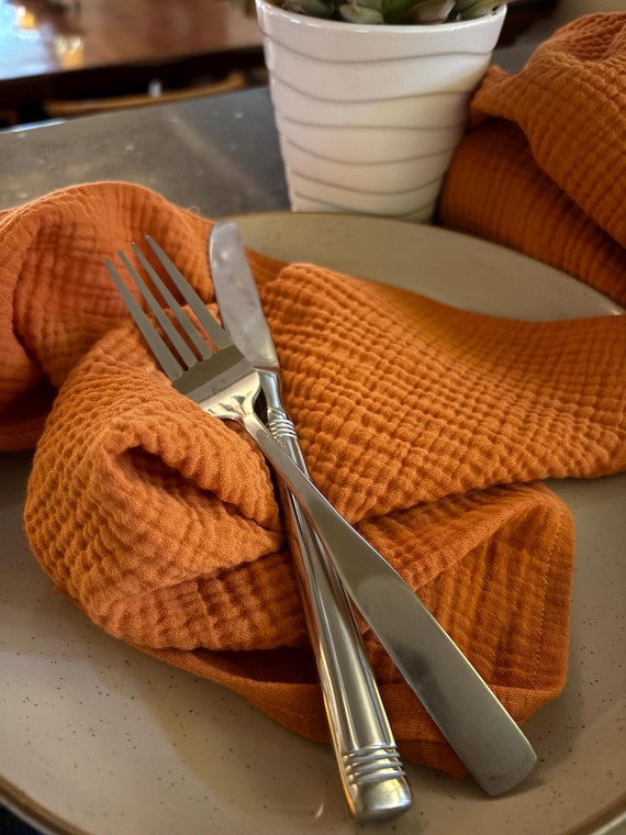 Pumpkin, Terracotta, Burnt Orange Cloth Dinner Napkins, Set of 4, Super Soft and Fluffy, Premium Double Gauze, 15 inch, by Chow with ME