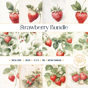 Fraises à l'aquarelle | Pack de papier numérique aquarelle | Arrière-plans transparents 12 x 12 | PNG haute résolution | Papier de scrapbooking imprimable
