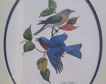 John Ruthven Signed Bird Print Eastern Bluebirds