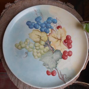 Vintage Signed by Artist Nora Cochin Hand Painted Plate Fruit Grapes Still Life Artwork Decorative Plate Collectible Display Wall Hanging image 3