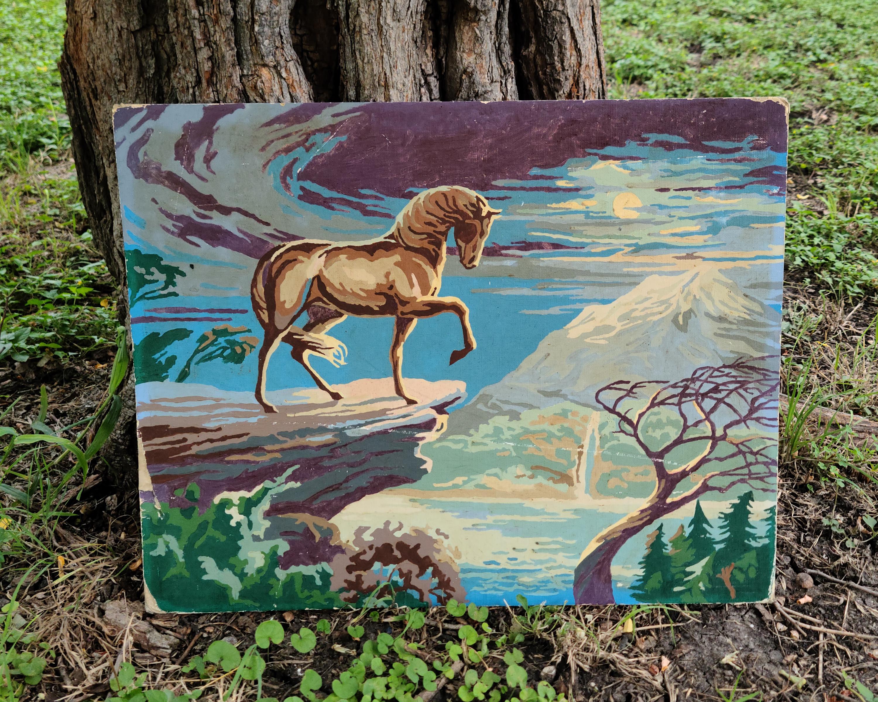 馬のいる景色 Vintage 20 X 16 Horse on Cliff Paint by Number Horse in Moonlight