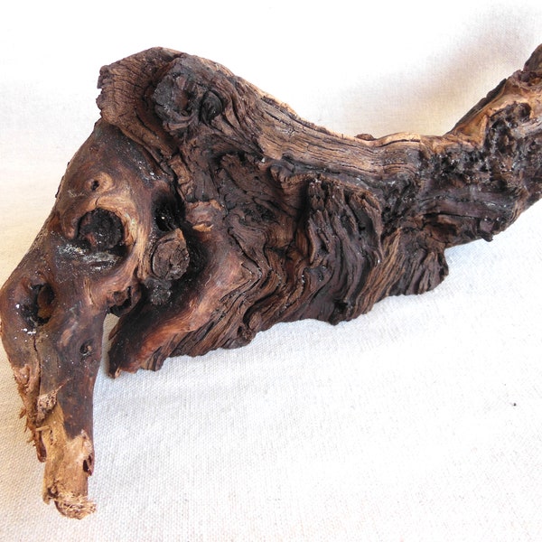 Burl Wood Decor - Etsy