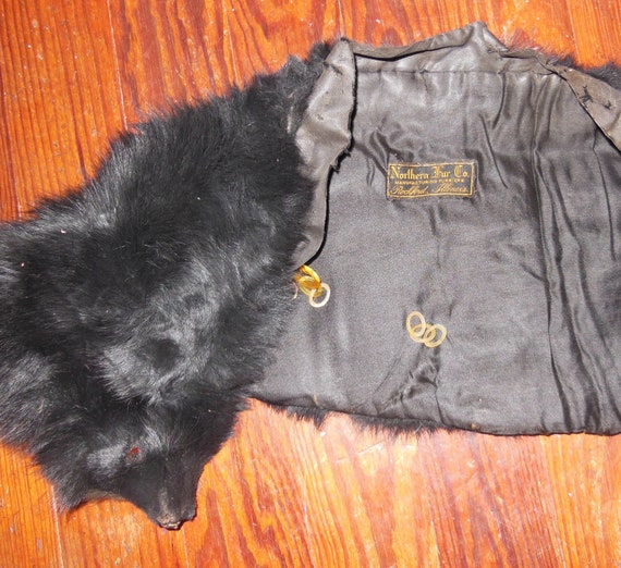 Vintage Black Fox Cape Shawl Fox Head and Tail Fu… - image 7