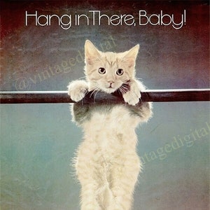 Vintage 1970er Jahre Hang in There, Baby Kätzchen Poster DIGITAL Download druckbare Kunst - Instant Download!