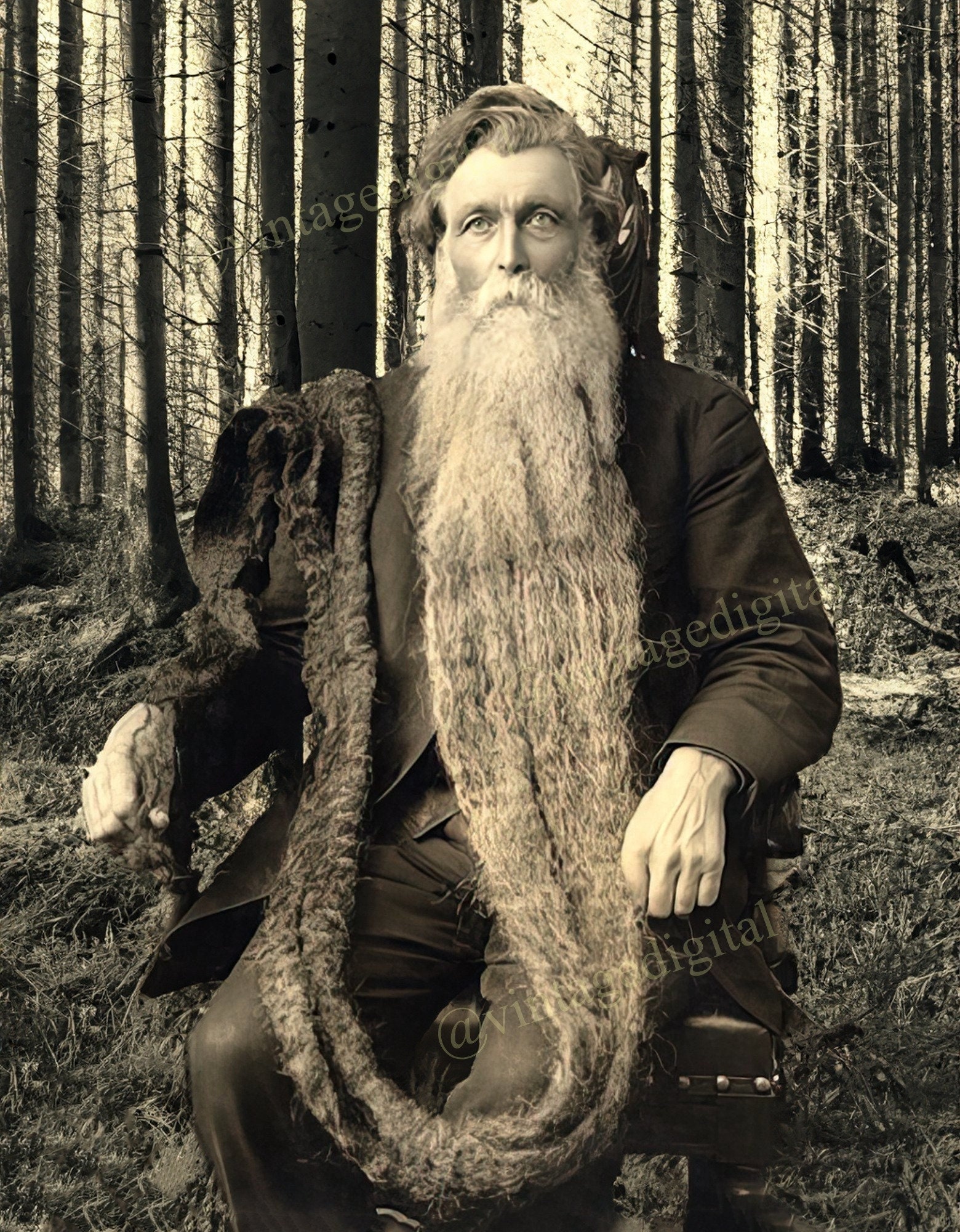 The Old Man With the Giant Beard in the Forest Digital Art Download ...