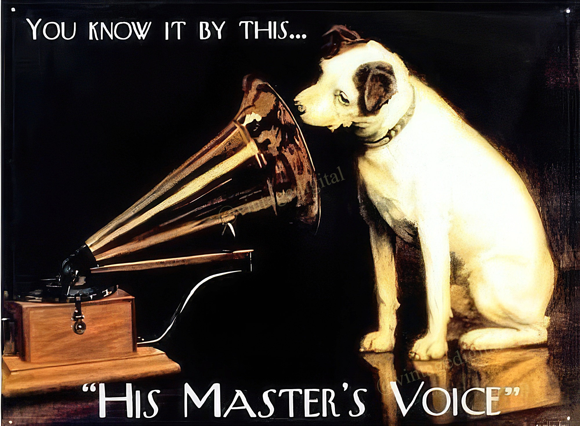 His masters voice - Etsy 日本 His masters voice - Etsy 日本