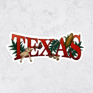 Texas vinyl sticker USA State Art sticker reizen laptop sticker waterfles sticker