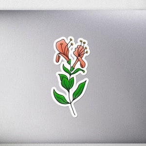 Sticker, Honeysuckle Vinyl Sticker, Floral Sticker, Luggage Sticker, Journal Sticker image 1