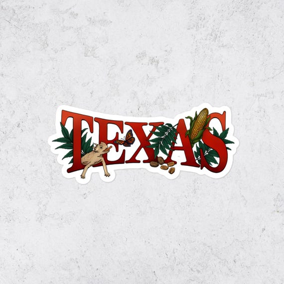 Texas Vinyl Sticker USA State Art Decal Travel Laptop Decal Water Bottle Sticker