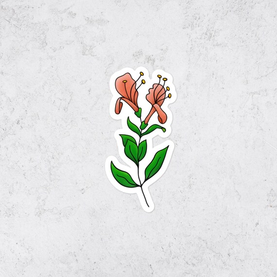 Honeysuckle Flower Vinyl Sticker Floral Decal for Water Bottle Laptop Tablet Journal and Luggage Wildflower Decal Gift for Plant Lovers