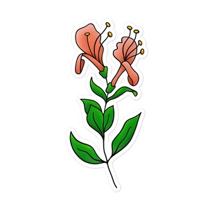 Sticker, Honeysuckle Vinyl Sticker, Floral Sticker, Luggage Sticker, Journal Sticker image 4