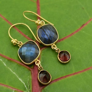 May include: Gold-tone earrings featuring square, iridescent blue gemstones and small, round, red gemstones. The earrings have a hook design and are set against a green leaf background.