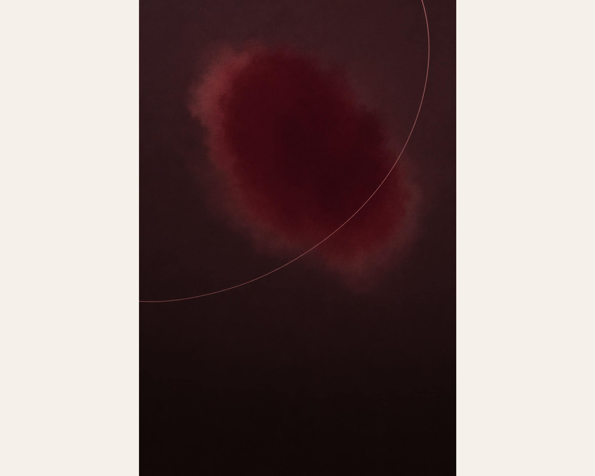 Oxblood Veil photo 4
