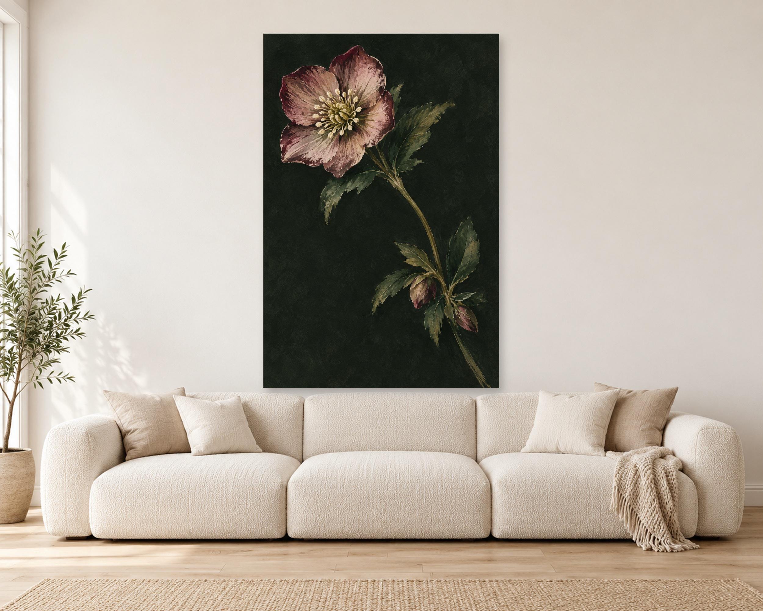 Hellebore Dusk photo 1