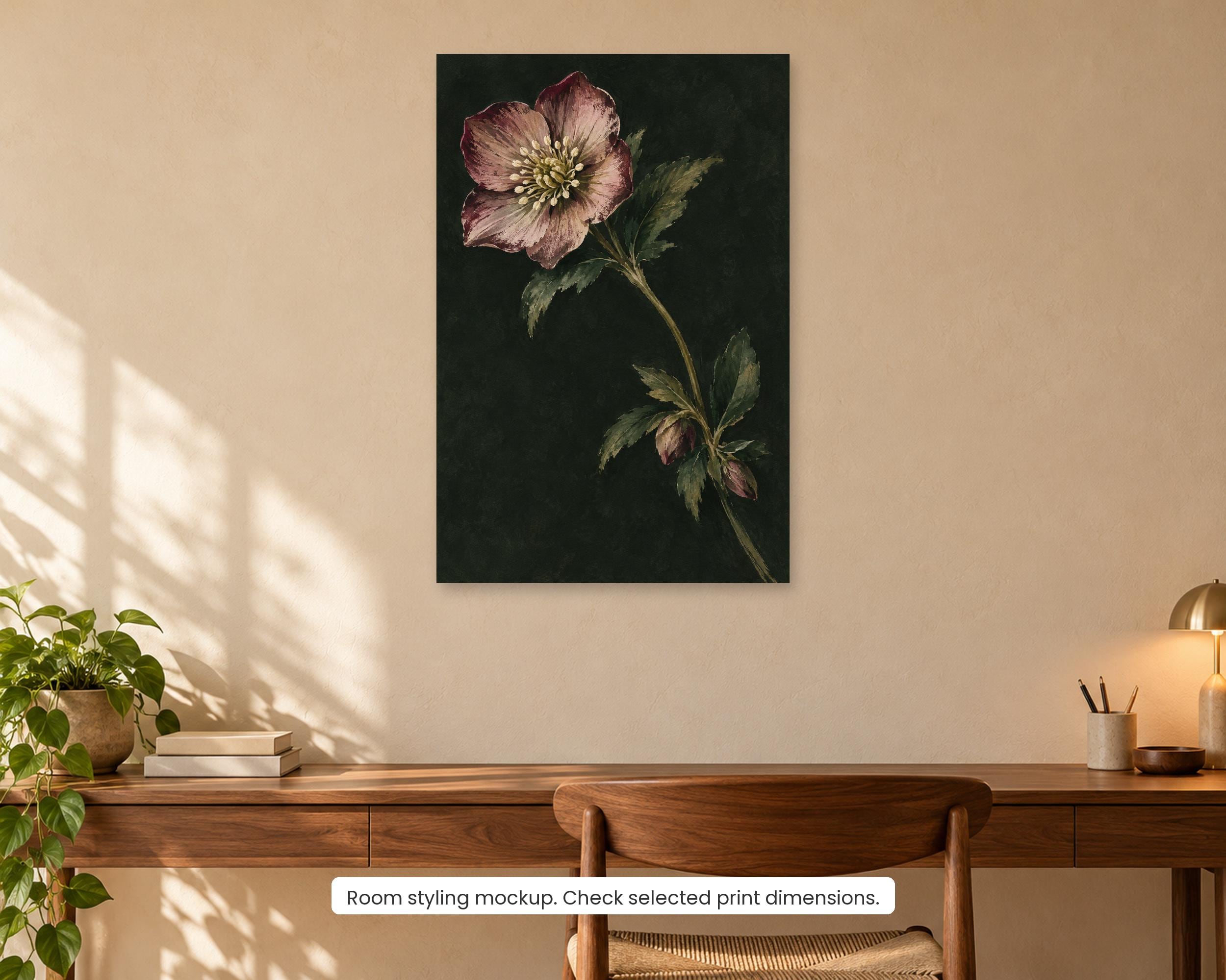 Hellebore Dusk photo 2