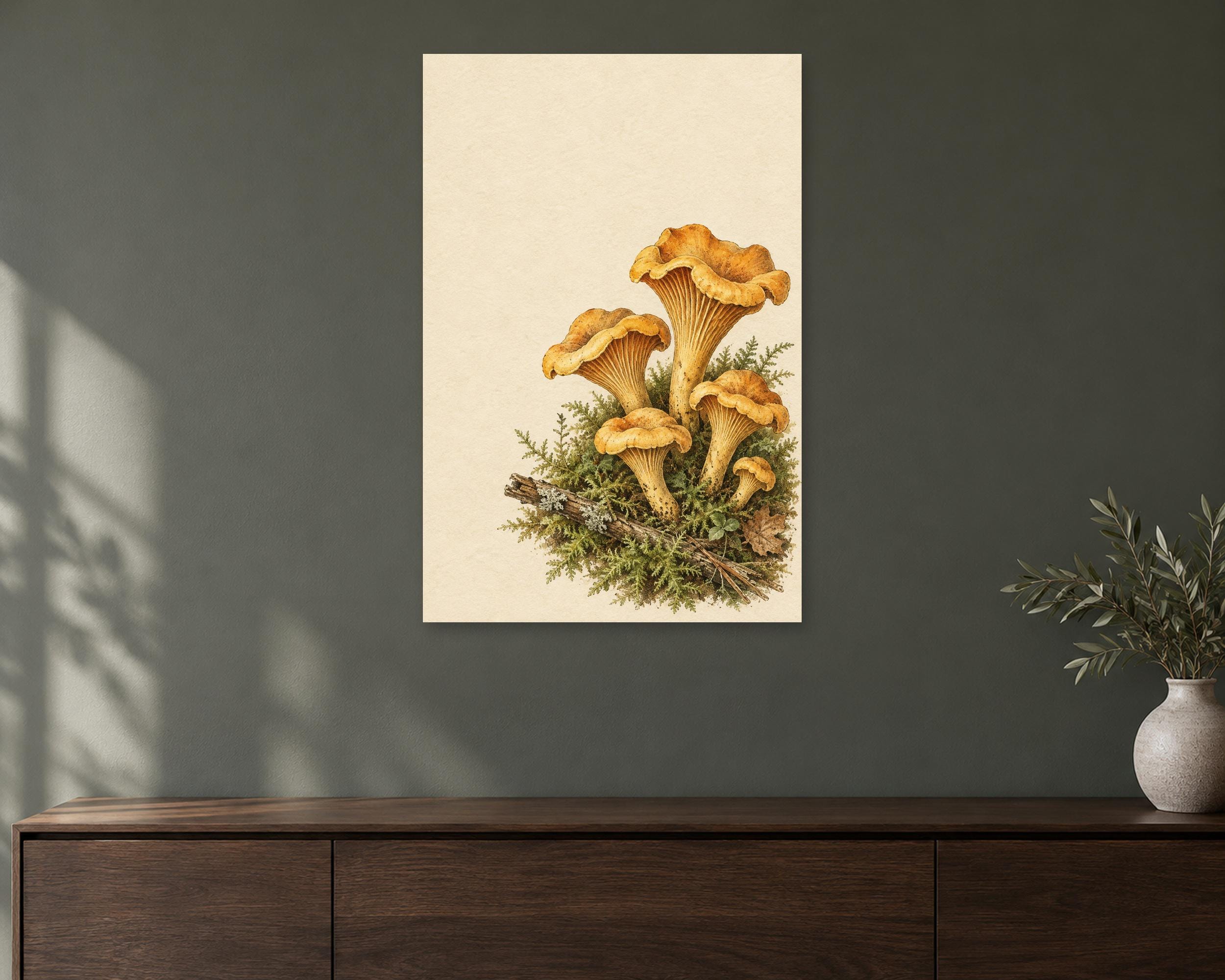 Chanterelle Cluster Study photo 1