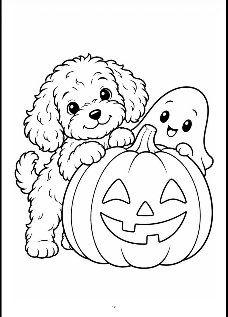 May include: A black and white colouring page illustration featuring a curly-haired puppy and a small ghost leaning over a carved jack-o'-lantern pumpkin. The puppy has large eyes and a smiling expression, while the ghost has a happy face.