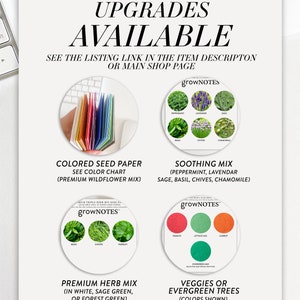 Grownotes™ Grow in Faith Bookmark Favor, With Plantable Seed Paper ...