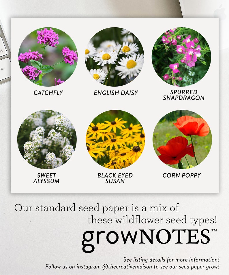 growNOTES™ Plantable Memorial Wallet Cards Seed Paper For Funeral Custom Memory Cards Sympathy Grief Cards Celebration of Life Keepsake image 5