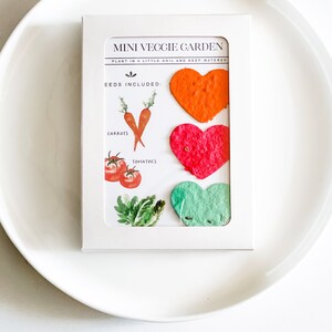 Grow-A-Garden Seed Paper Hearts, Carrots, Tomatoes, Lettuce (10 Pack) image 3