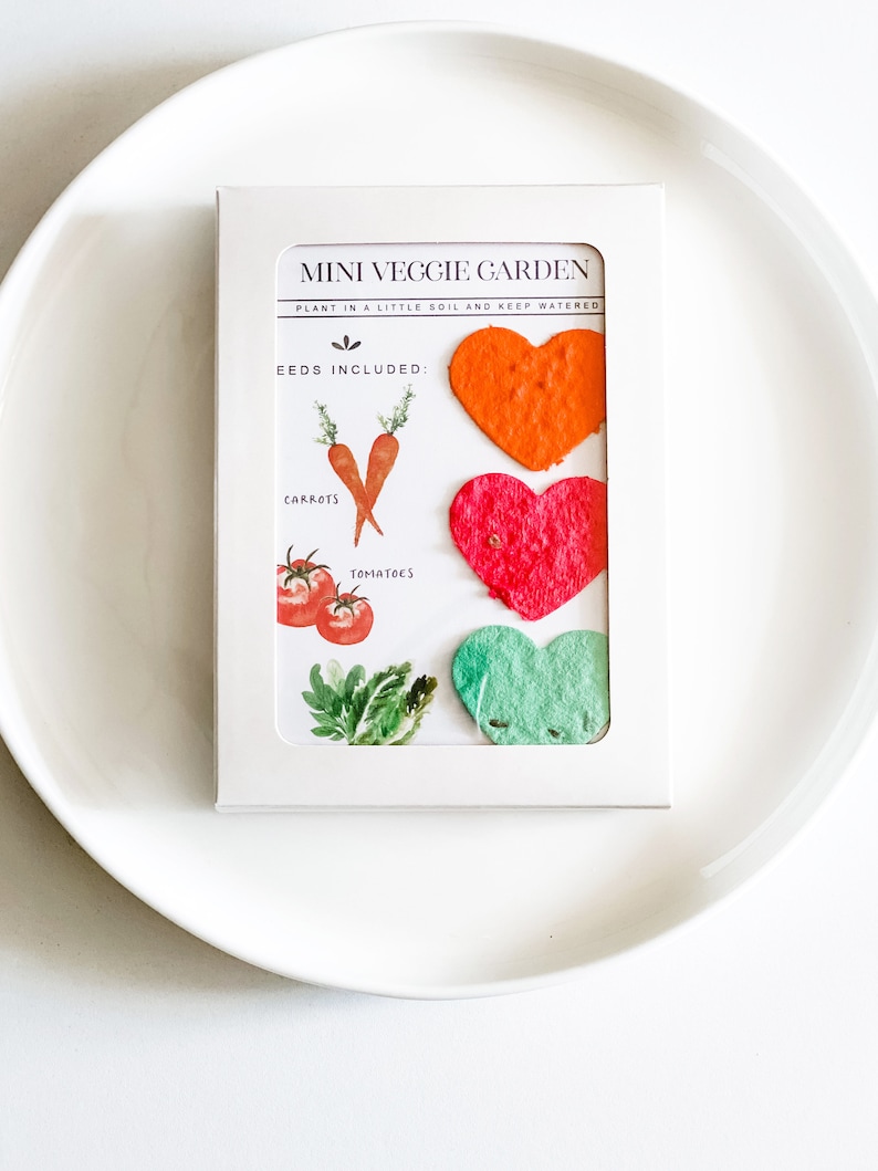 Grow-A-Garden Seed Paper Hearts, Carrots, Tomatoes, Lettuce (10 Pack) image 3