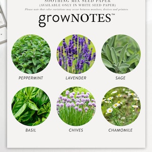 May include: A white informational card titled SOOTHING MIX SEED PAPER and growNOTES featuring six circular images of plants labeled Peppermint, Lavender, Sage, Basil, Chives, and Chamomile. The text notes the product is available only in white seed paper.