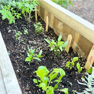 growNOTES™ Let's Grow Together Garden Bookmarks, Seed Paper, Vegetables, Teacher Gift, Students, Kids, Gardeners, Plantable, Summer Gift image 6
