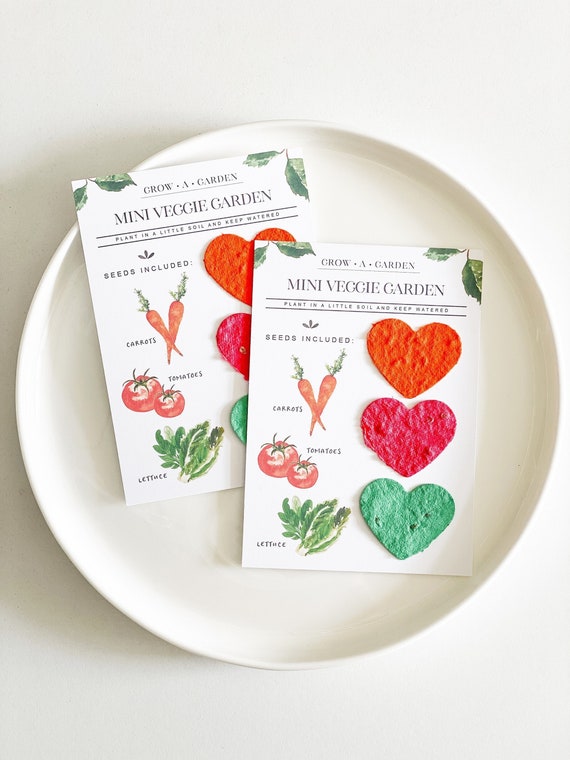 growNOTES™ Grow-A-Garden Mini Veggie Garden, Carrots, Tomatoes, Lettuce, Plantable Seed Paper DIY Gift for Kids, Teachers, Shower Favors