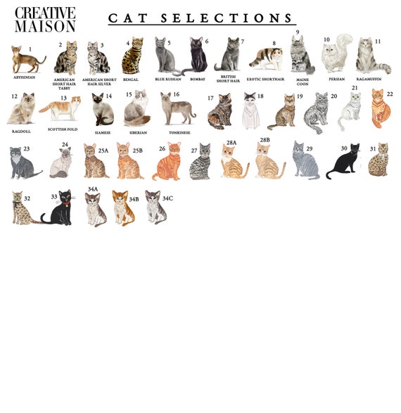 Lot De 10 Cartes De Voeux De Noël Carrées - Design Chiot Et Chaton Traditionnel - Neuf Sous Cellophane
