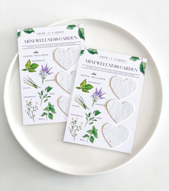 growNOTES™ Grow-A-Garden Mini Wellness Garden, Lavender, Chamomile, Basil, Peppermint, Chives, Herbs, Seed Paper Craft Gift for Kids, 10 CT