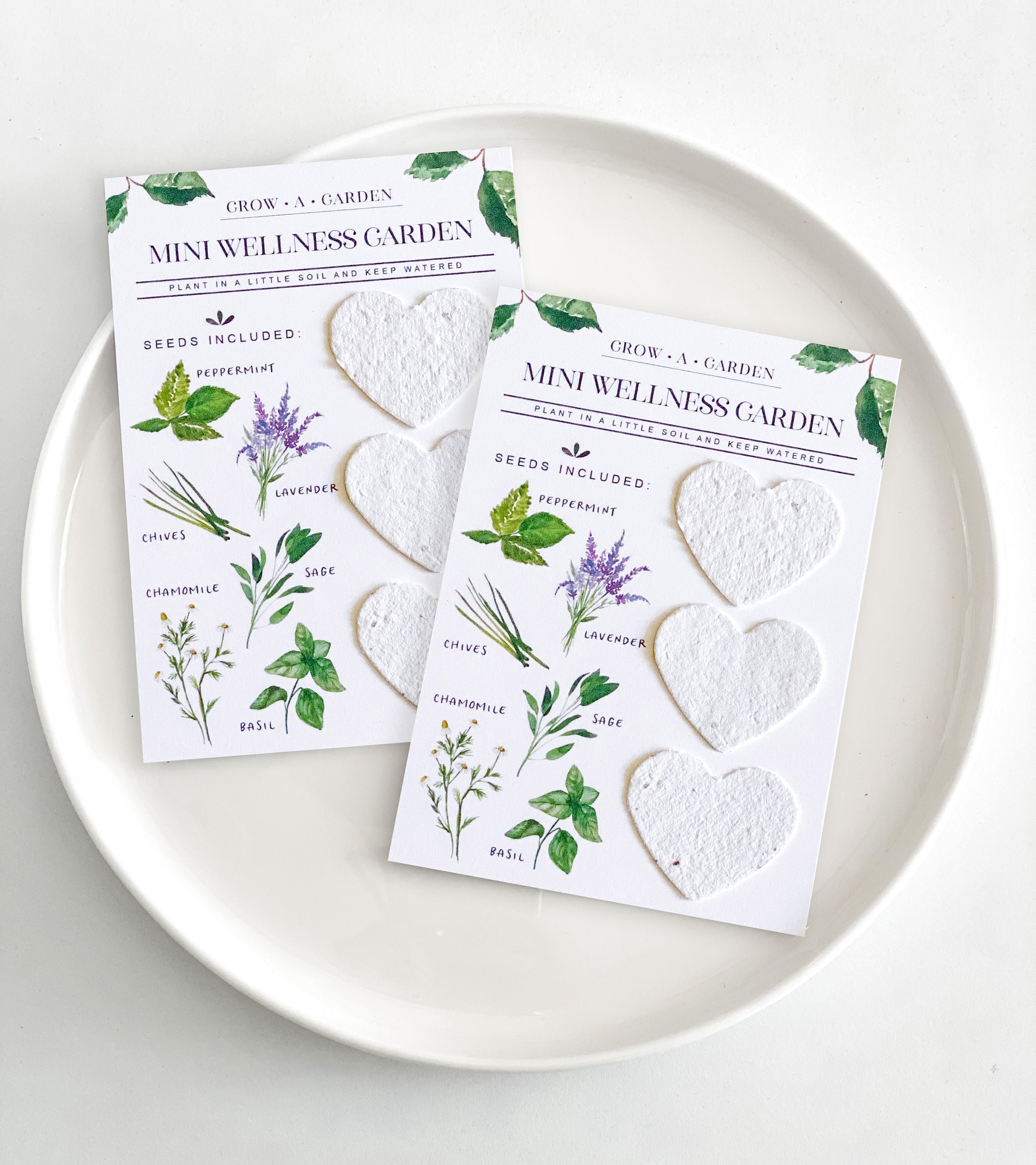 growNOTES Grow-A-Garden Mini Wellness Garden, Lavender, Chamomile,…