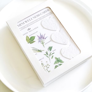May include: A white rectangular box labeled MINI WELLNESS GARDEN containing three white heart-shaped seed paper pieces. The box features illustrations of peppermint, lavender, chives, chamomile, and sage with the text SEEDS INCLUDED.